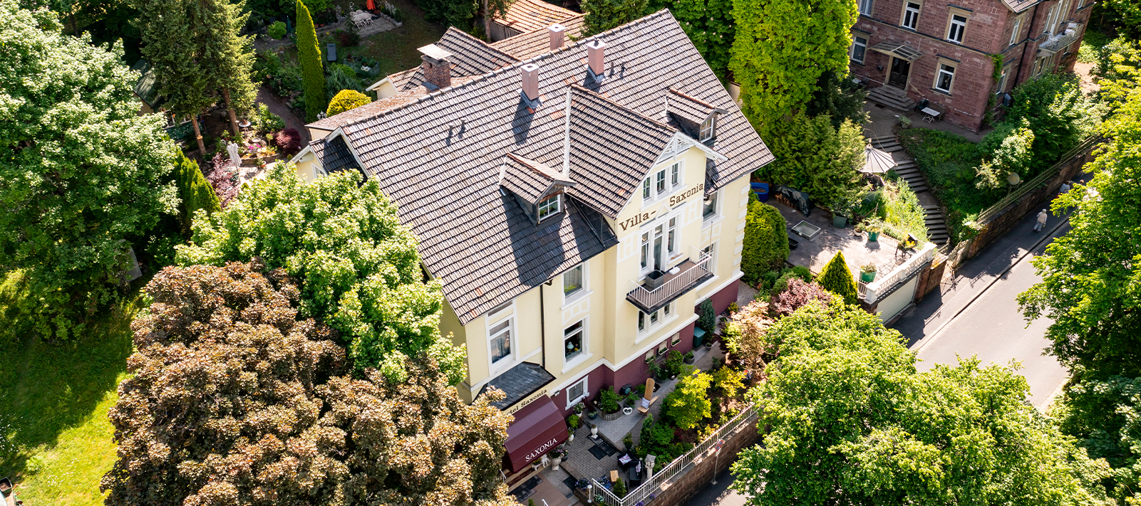 hotel saxonia
